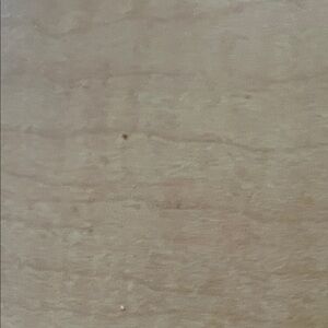 TWO NEW TOSS PILLOWS, NEW FROM TARGET